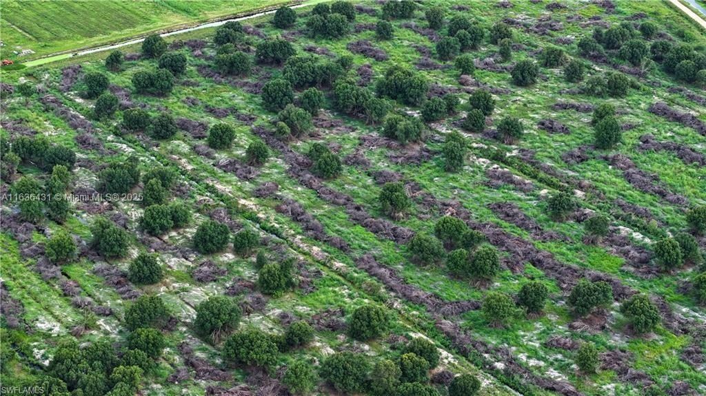 2nd Road, La Belle, FL 33935 Photo