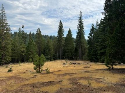 27488 Shake Ridge Road, Volcano, CA 95689 Photo
