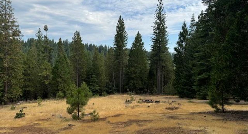 27488 Shake Ridge Road, Volcano, CA 95689 Photo