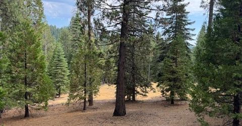 27488 Shake Ridge Road, Volcano, CA 95689 Photo