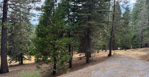 27488 Shake Ridge Road, Volcano, CA 95689 Photo