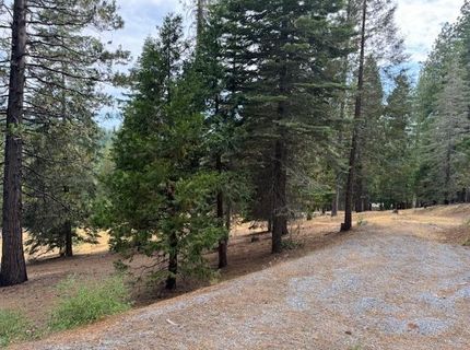 27488 Shake Ridge Road, Volcano, CA 95689 Photo