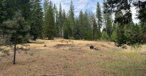 27488 Shake Ridge Road, Volcano, CA 95689 Photo