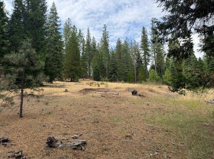 27488 Shake Ridge Road, Volcano, CA 95689 Photo
