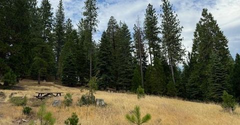 27488 Shake Ridge Road, Volcano, CA 95689 Photo