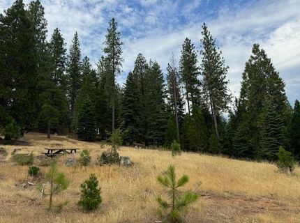 27488 Shake Ridge Road, Volcano, CA 95689 Photo