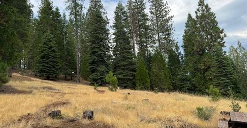 27488 Shake Ridge Road, Volcano, CA 95689 Photo