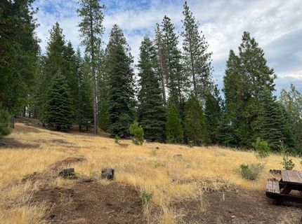 27488 Shake Ridge Road, Volcano, CA 95689 Photo