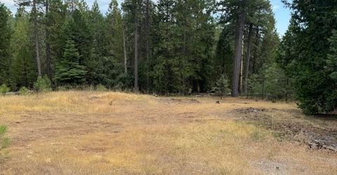 27488 Shake Ridge Road, Volcano, CA 95689 Photo
