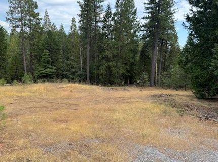 27488 Shake Ridge Road, Volcano, CA 95689 Photo