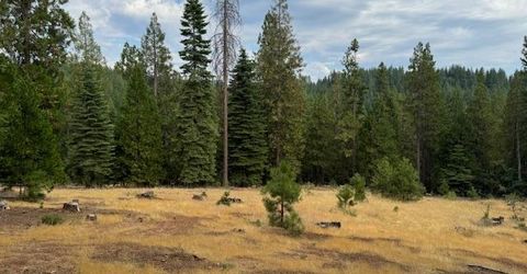 27488 Shake Ridge Road, Volcano, CA 95689 Photo