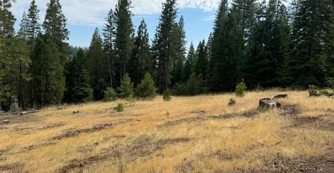 27488 Shake Ridge Road, Volcano, CA 95689 Photo