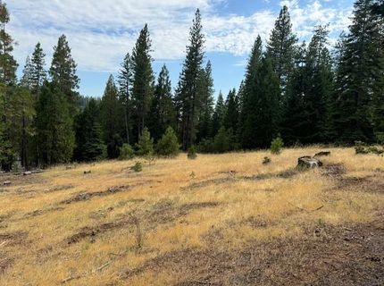 27488 Shake Ridge Road, Volcano, CA 95689 Photo