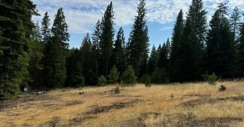 27488 Shake Ridge Road, Volcano, CA 95689 Photo