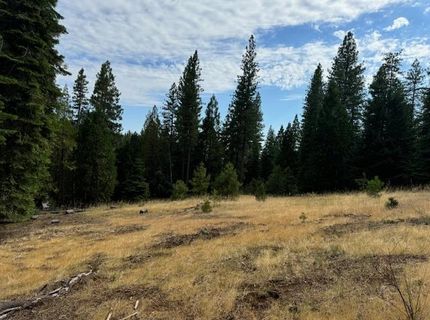 27488 Shake Ridge Road, Volcano, CA 95689 Photo