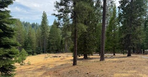 27488 Shake Ridge Road, Volcano, CA 95689 Photo