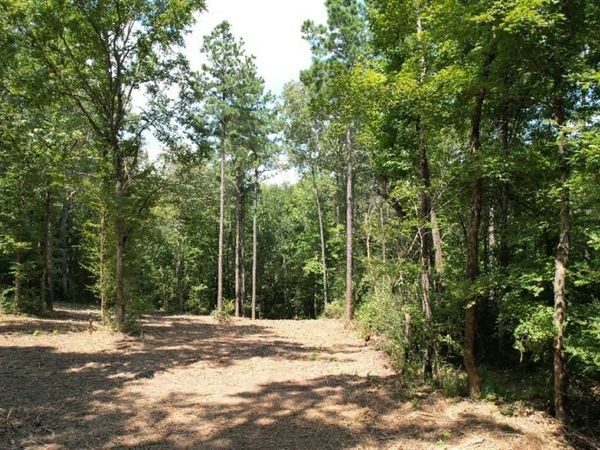 TBD County Road 3704, Joaquin, TX 75954