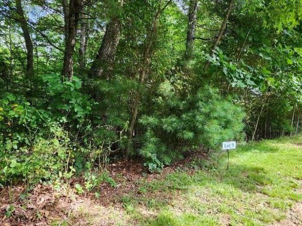 00000 Barebridge Drive, Burnsville, NC 28714