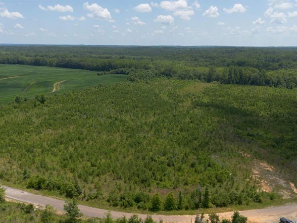 0 YOUNG RD, Finger, TN 38334