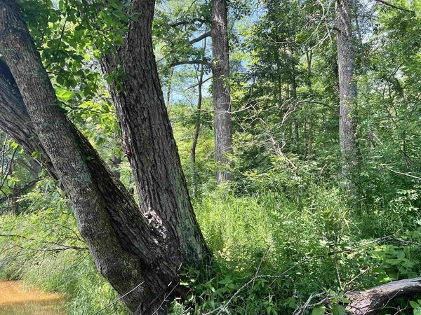 xxx Chippewa Tr, Exeland, WI 54867