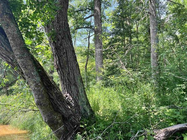 xxx Chippewa Tr, Exeland, WI 54867