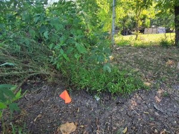 3038 Claibourne Boulevard, Dallas, TX 75212