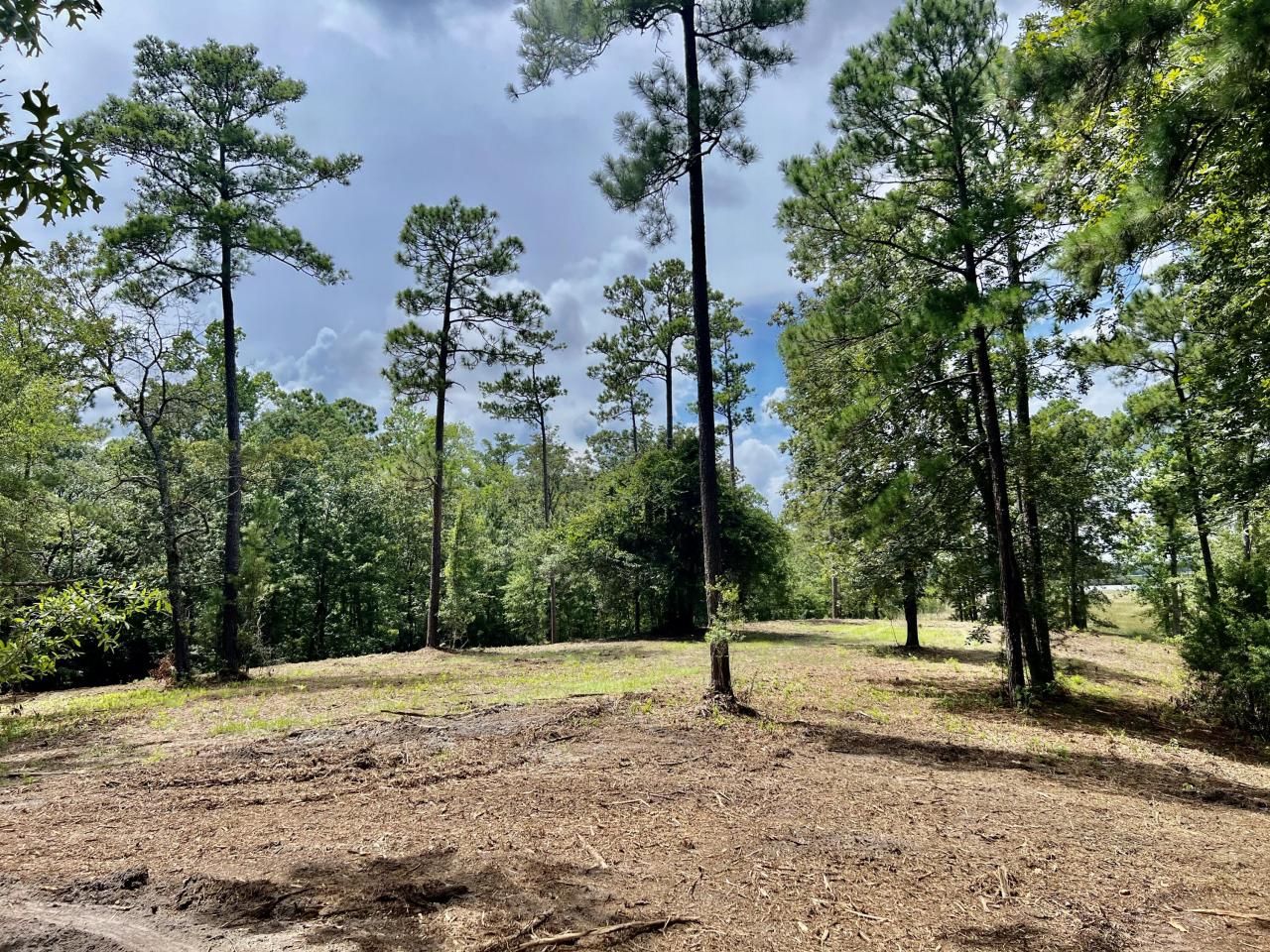 304 County Rd S-22-853 Photo 11