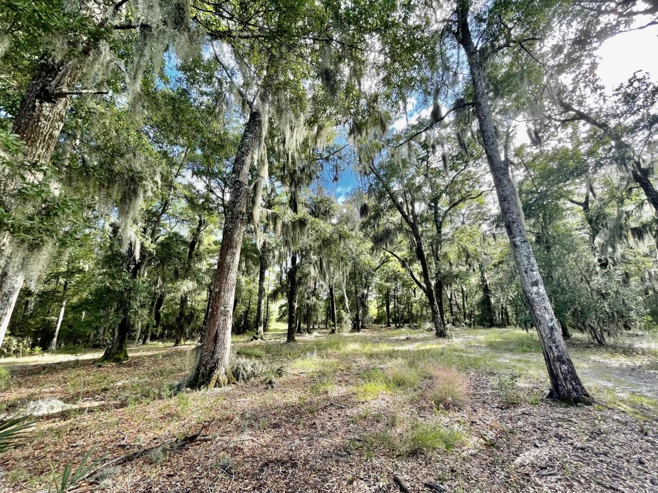 304 County Rd S-22-853 Photo 16