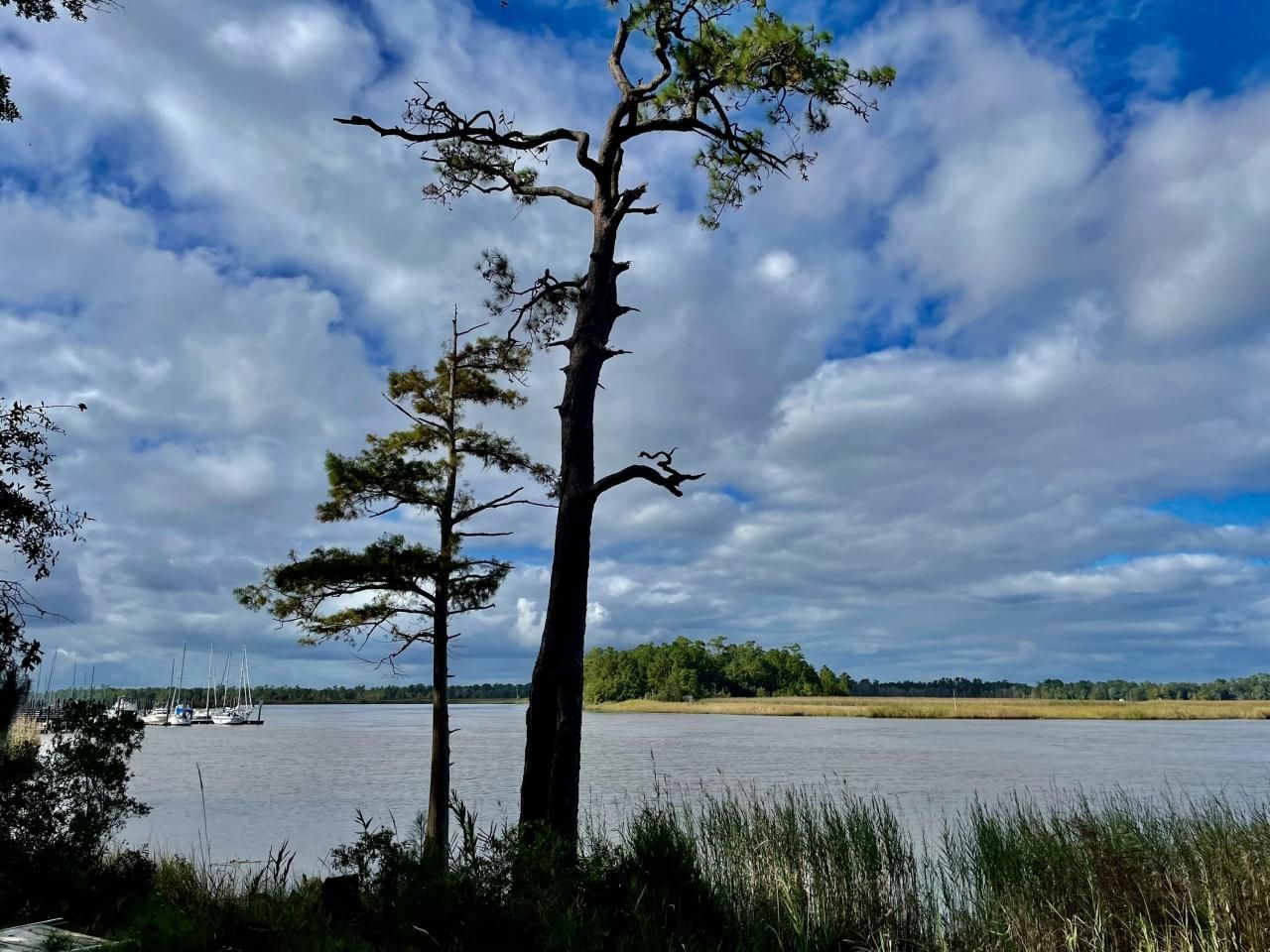 304 County Rd S-22-853 Photo 2