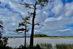 304 County Rd S-22-853 photo 4