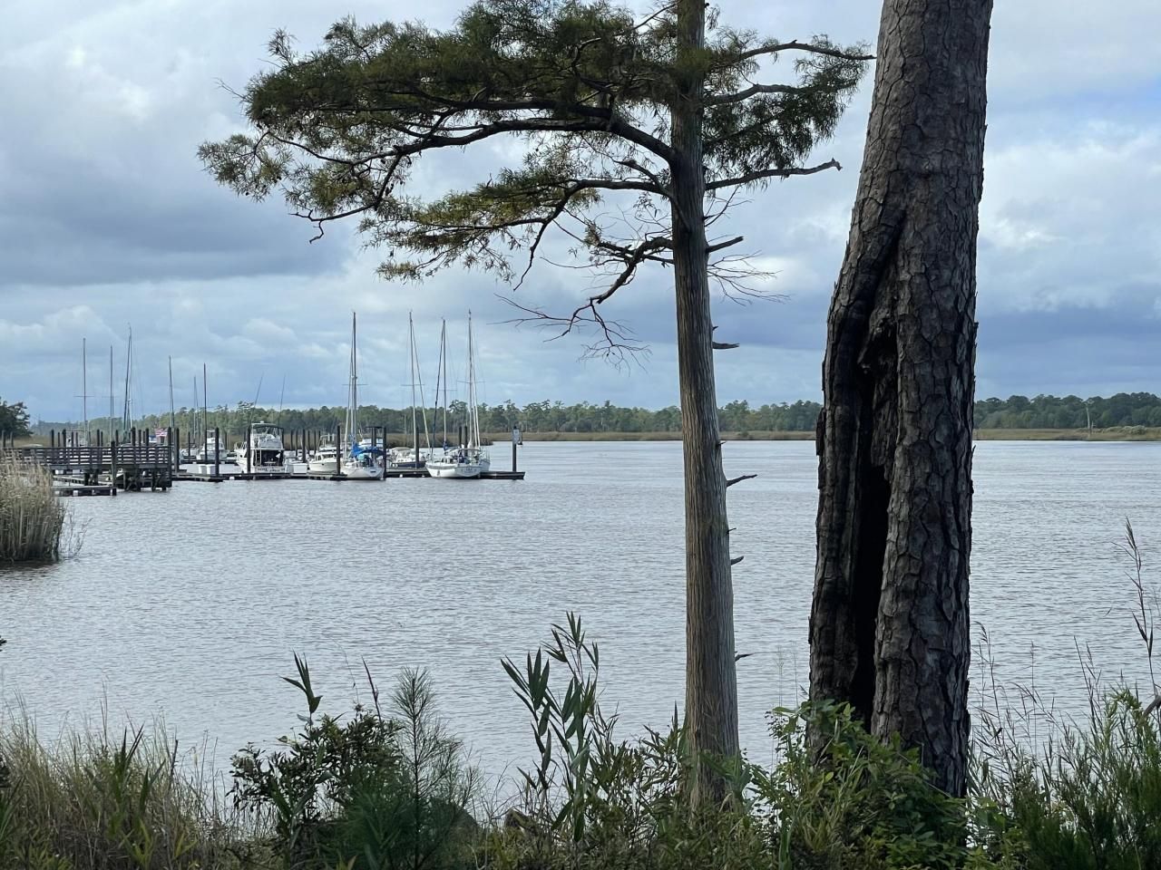 304 County Rd S-22-853 Photo 21