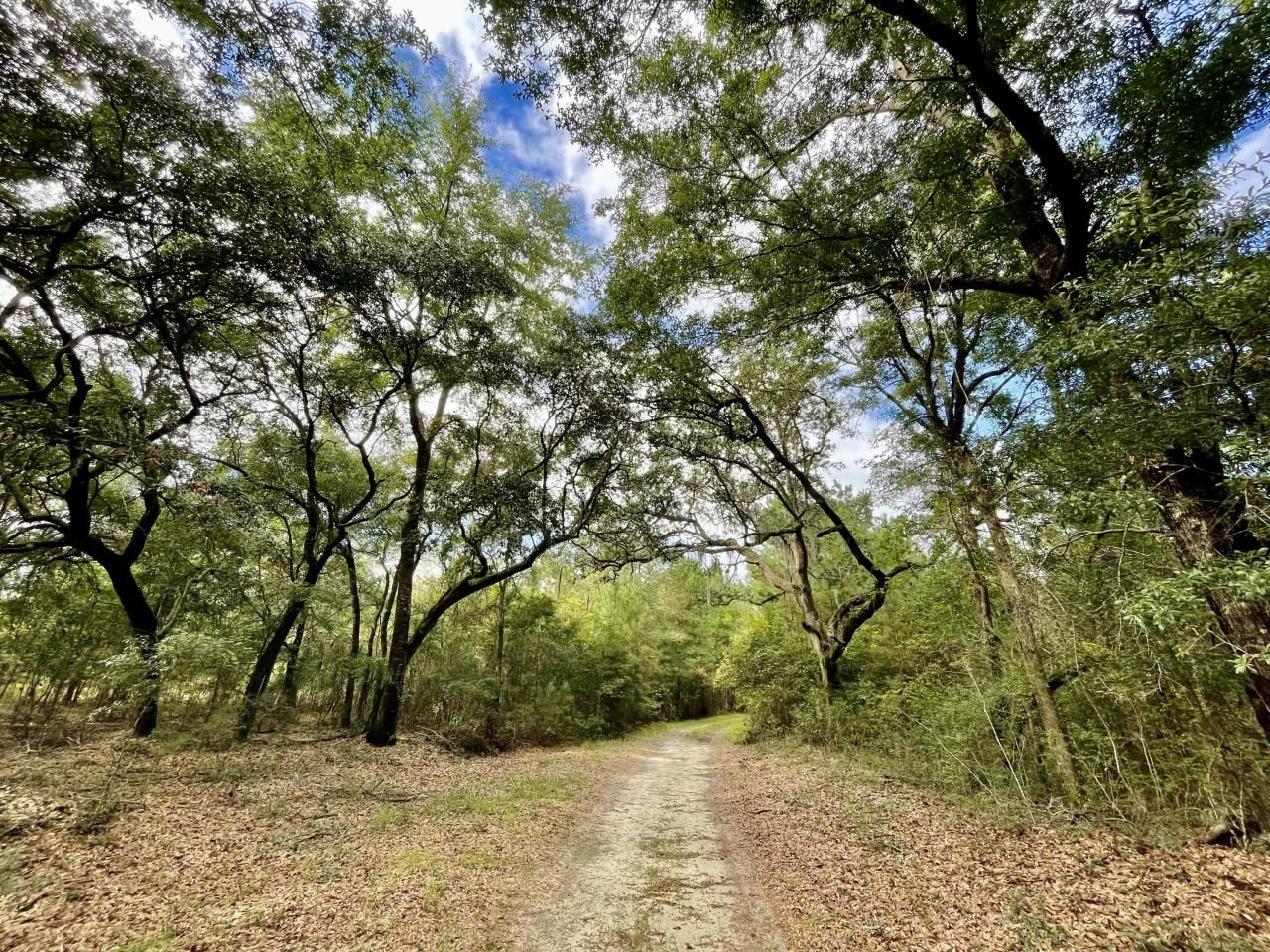 304 County Rd S-22-853 Photo 25