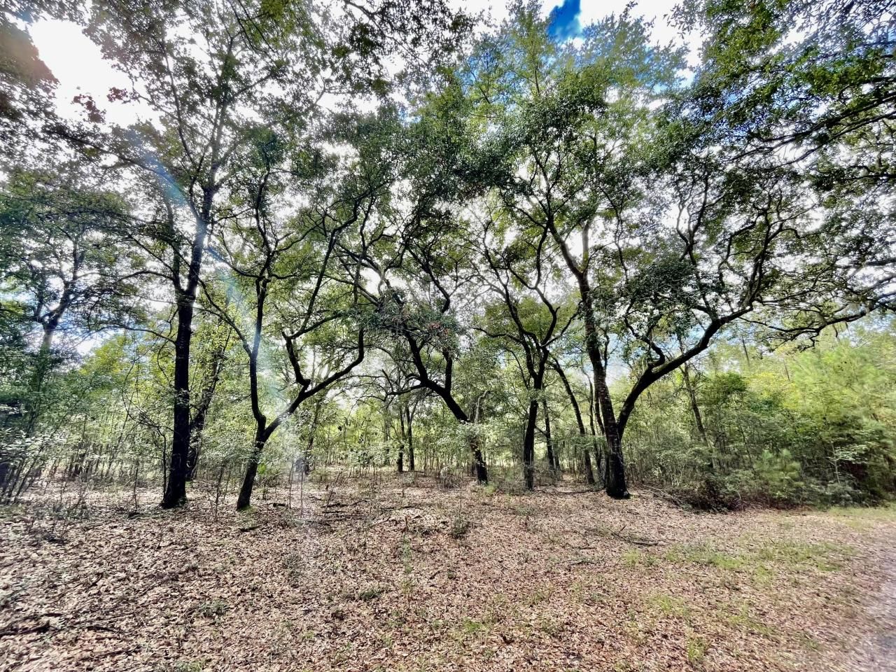 304 County Rd S-22-853 Photo 26