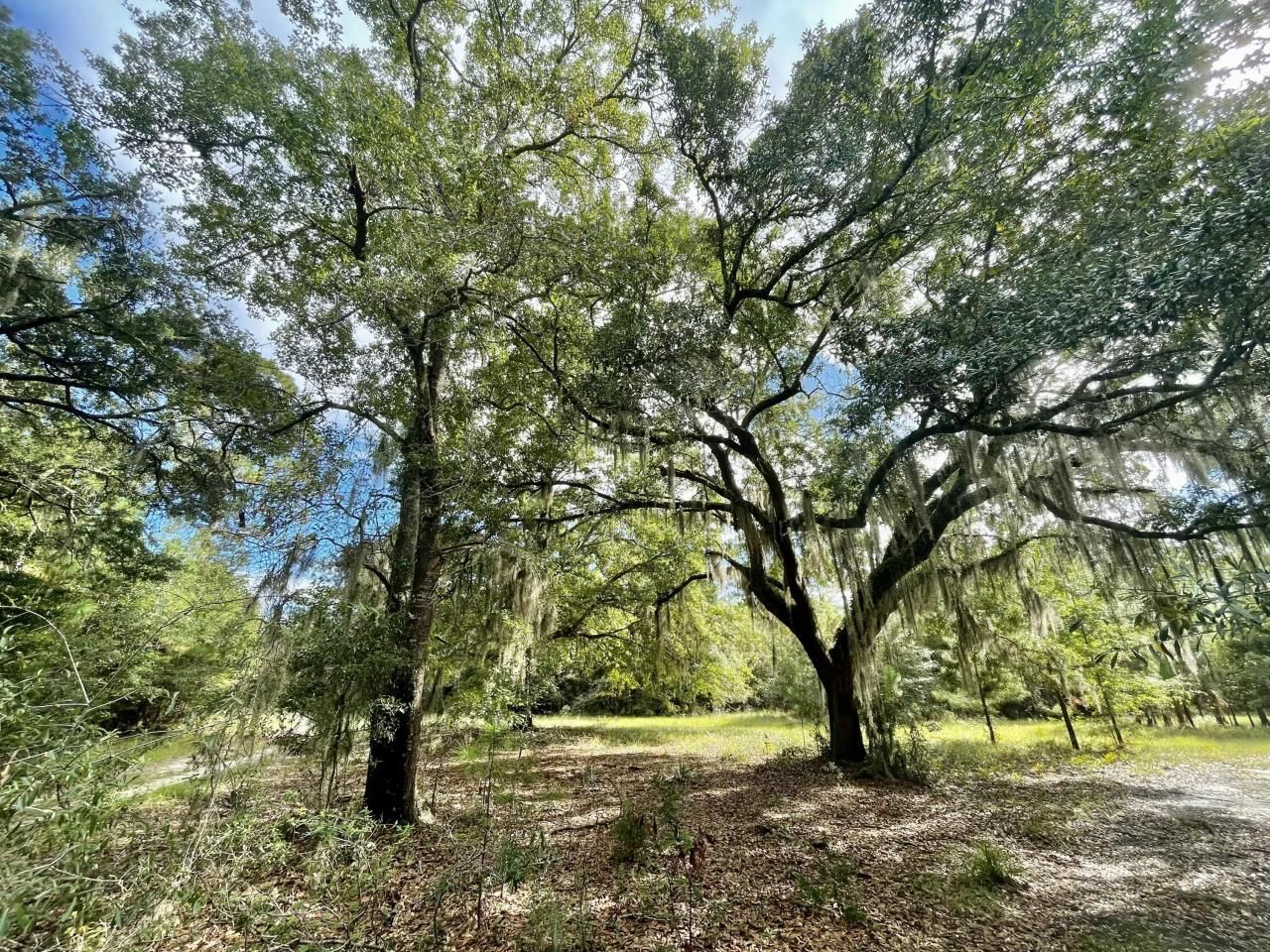 304 County Rd S-22-853 Photo 27