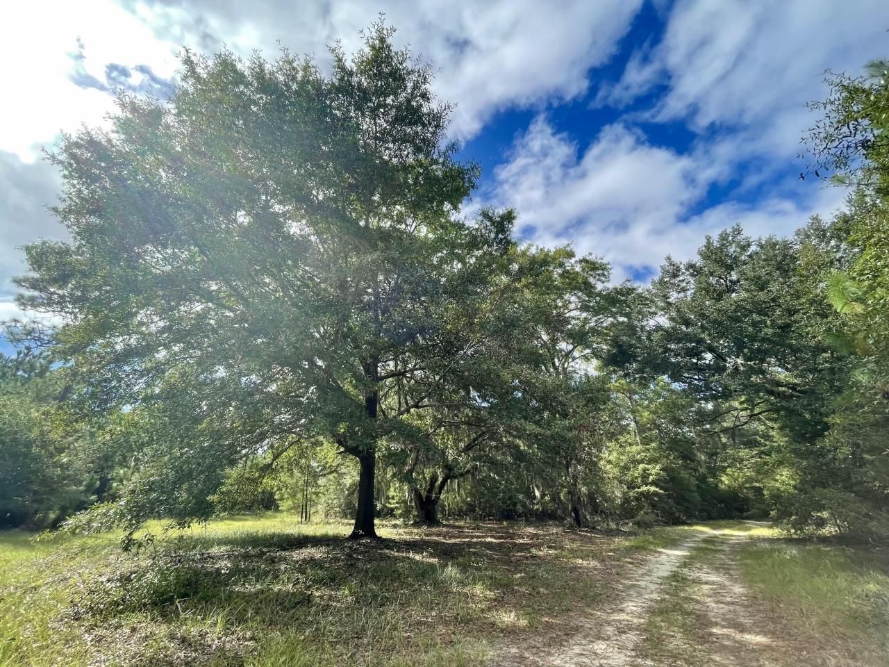 304 County Rd S-22-853 Photo 28