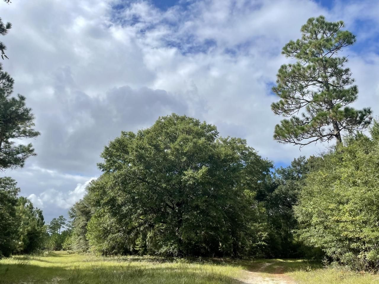 304 County Rd S-22-853 Photo 29