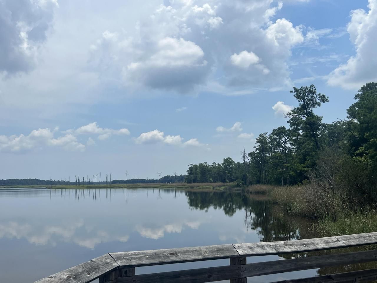 304 County Rd S-22-853 Photo 39