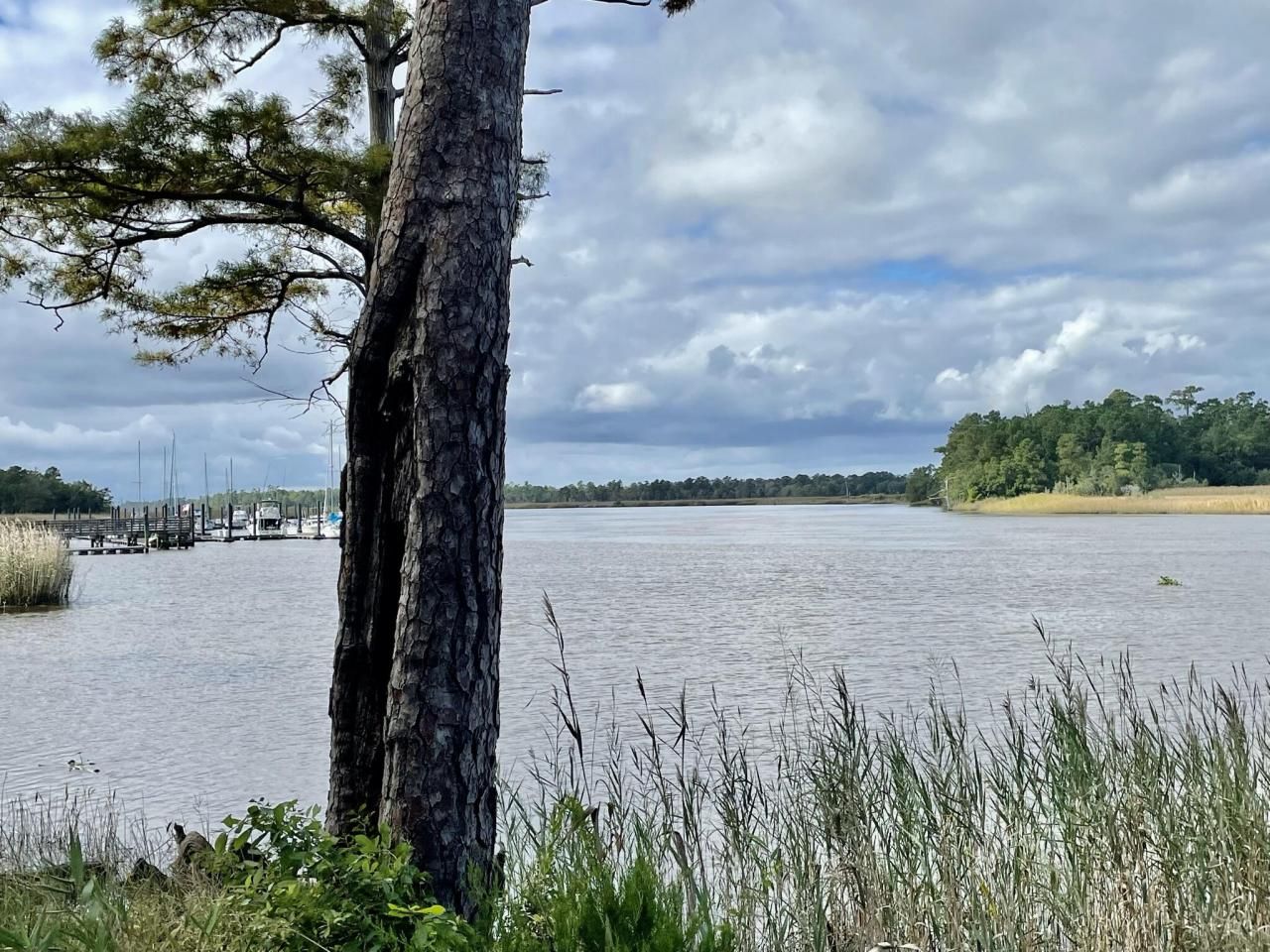 304 County Rd S-22-853 Photo 4