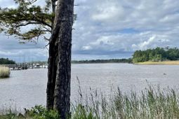 304 County Rd S-22-853 photo 4