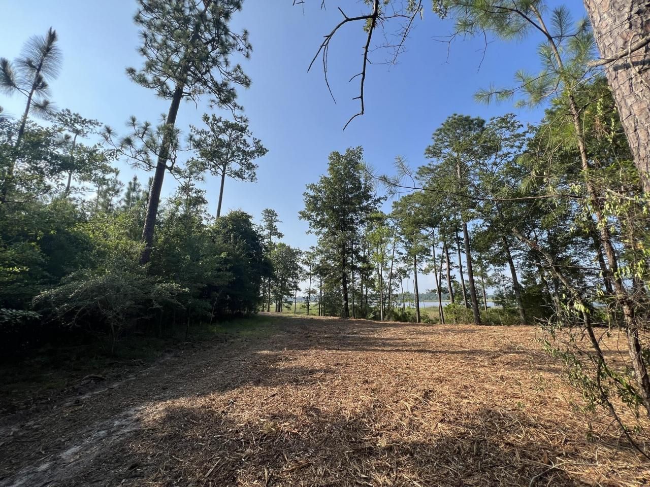 304 County Rd S-22-853 Photo 41