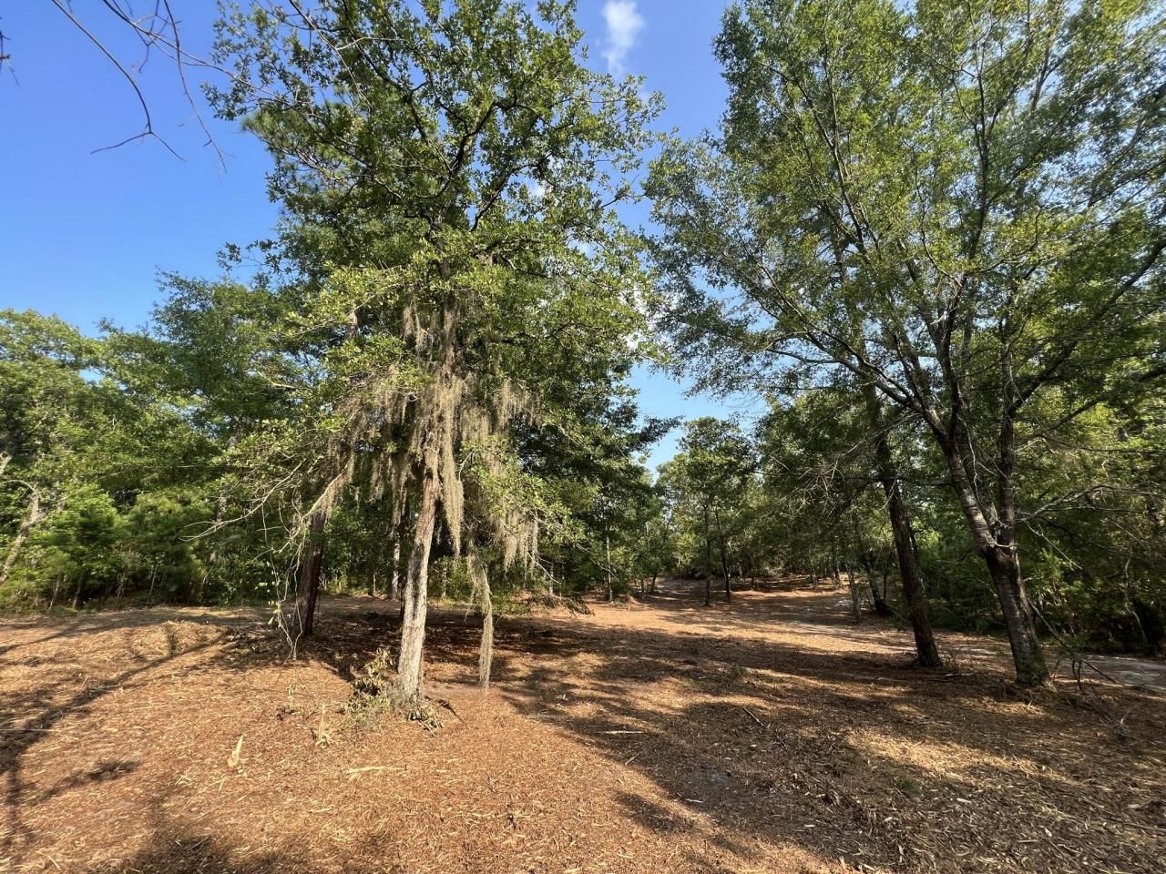 304 County Rd S-22-853 Photo 42