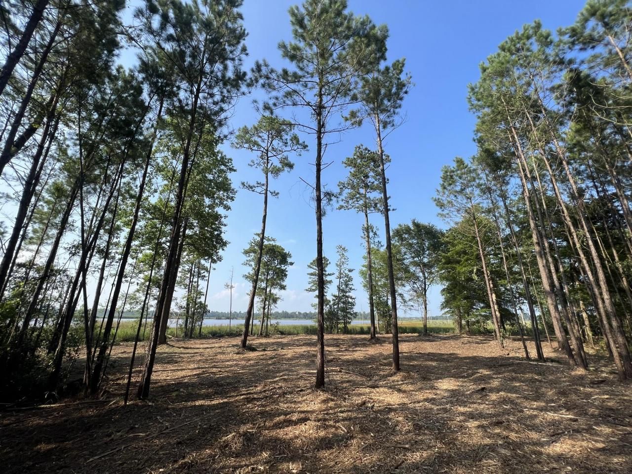 304 County Rd S-22-853 Photo 43