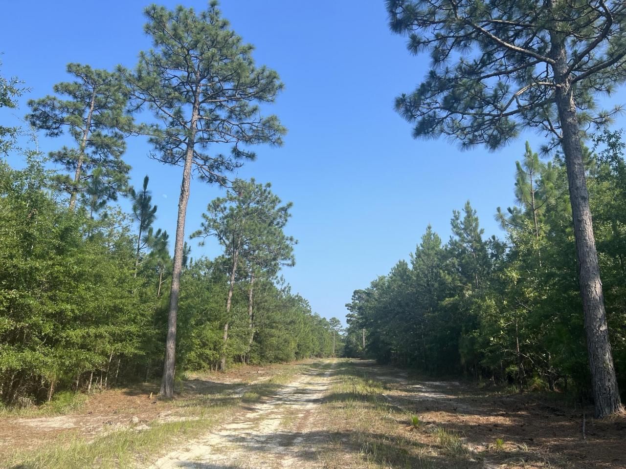 304 County Rd S-22-853 Photo 44