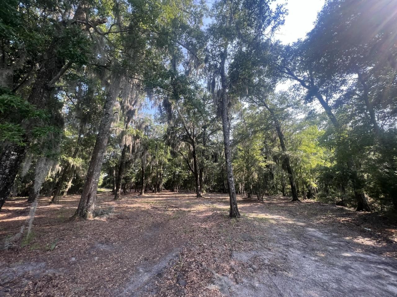 304 County Rd S-22-853 Photo 45