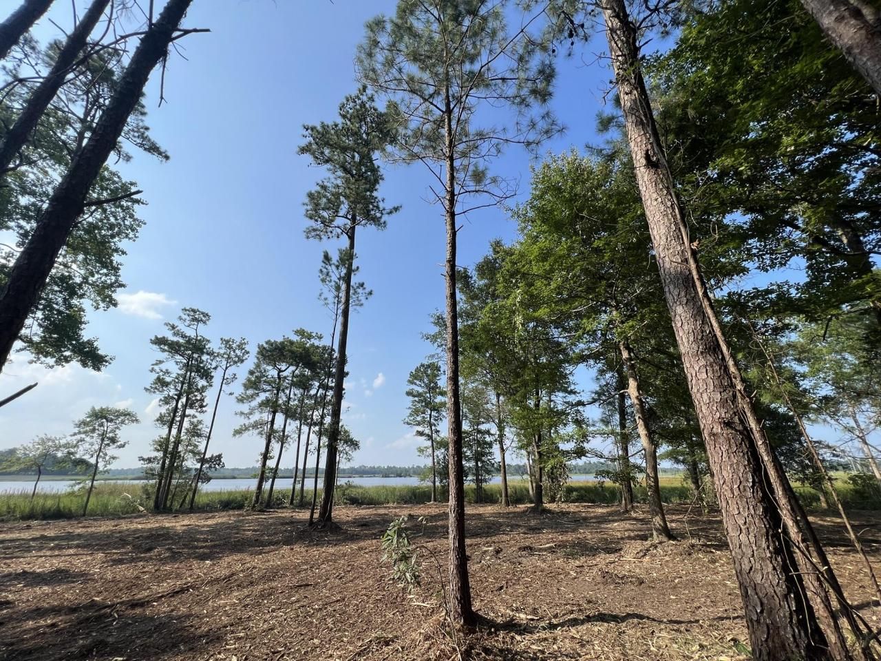 304 County Rd S-22-853 Photo 5