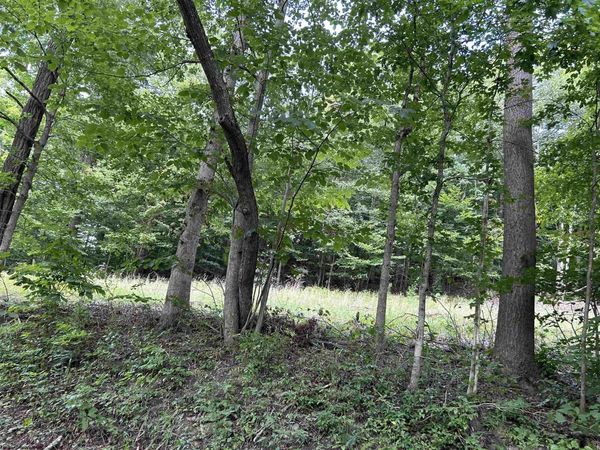 Lot 4 East Run Circle, Four States, WV 26572