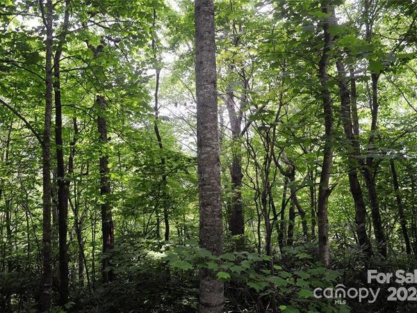 17 Wood Haven Lane, Black Mountain, NC 28711