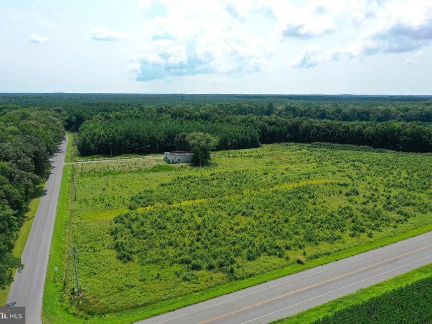 1637 Dun Swamp Road, Pocomoke City, MD 21851 Main Photo