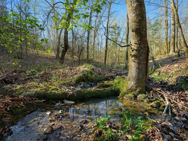 Hwy 4 Highway, Unit 31, Watson, OK 74963