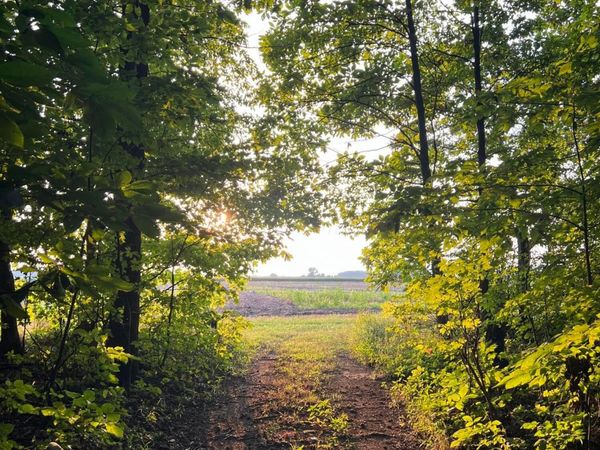 0 Norton Road, Radnor, OH 43066